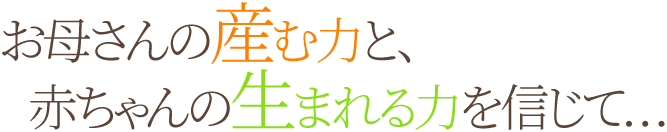 お母さんの産む力と、赤ちゃんの生まれる力を信じて…